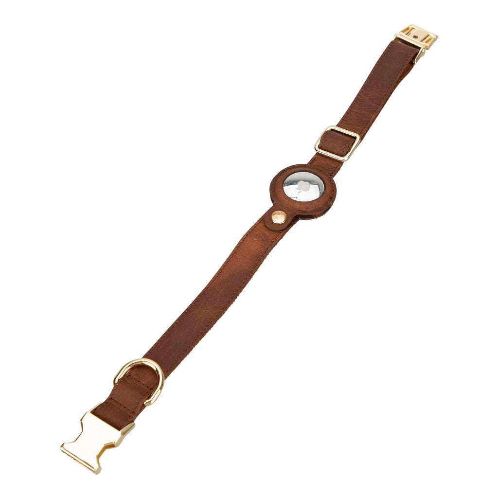 Golden Leather Dog Collars with Apple AirTag Slot